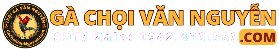 CLB Gà Chọi Văn Nguyễn