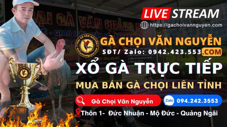 Video 18h37 ngày 30/11 – CLB Gà Chọi Văn Nguyễn